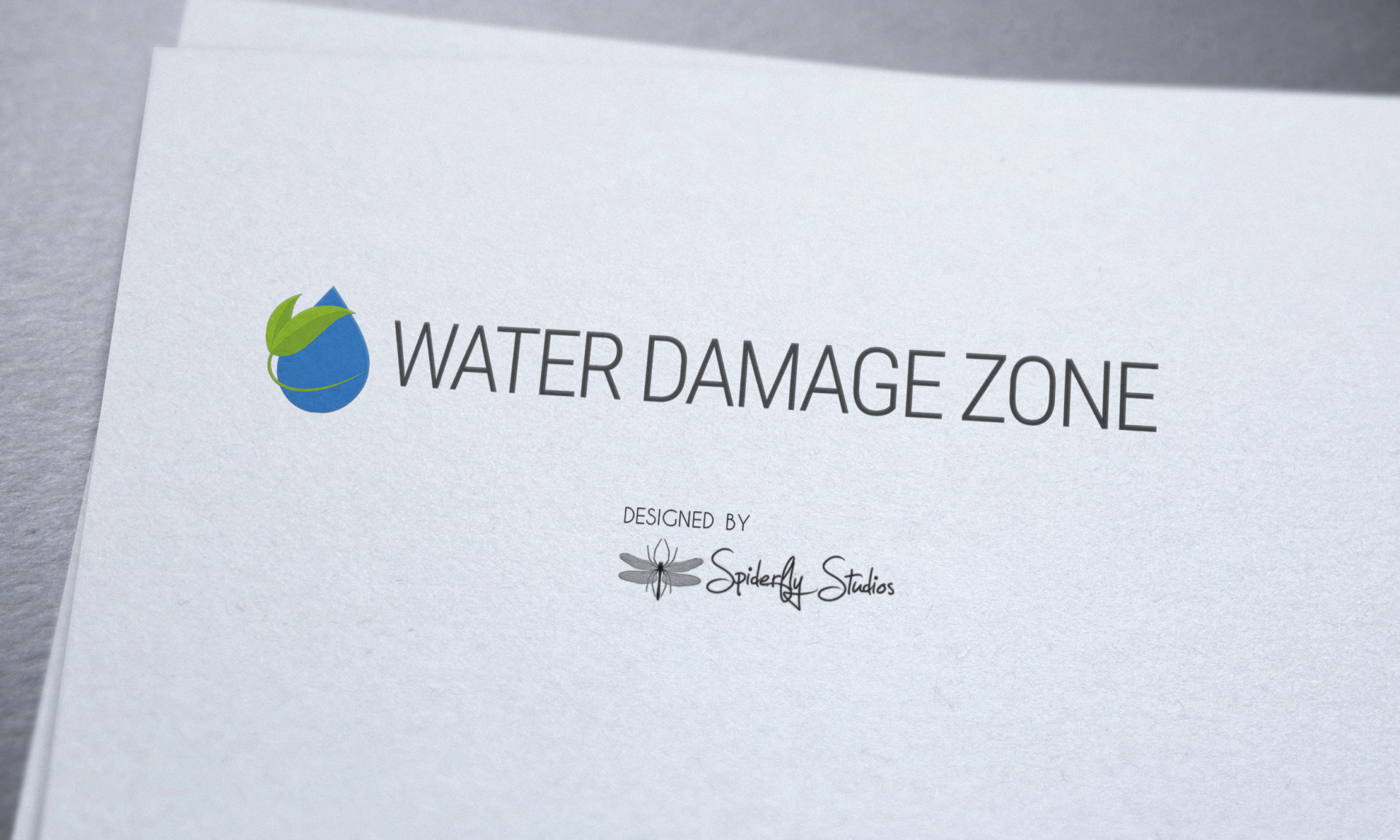 Water Damage Zone - Logo Design